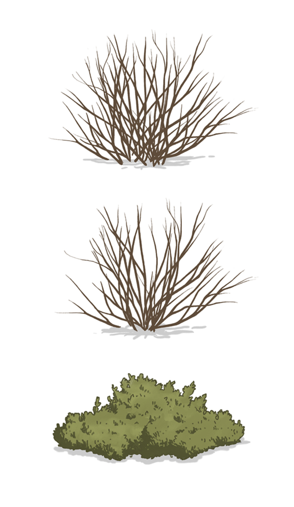LRV-bushes